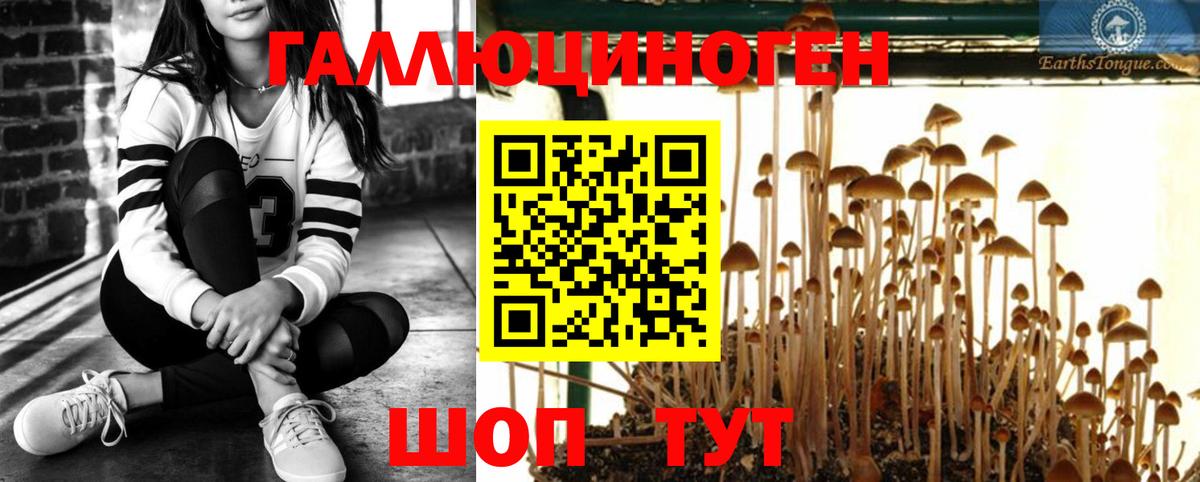 Йошкар-Ола  Галлюциногенные грибы прущие грибы  Вход с VPN 
